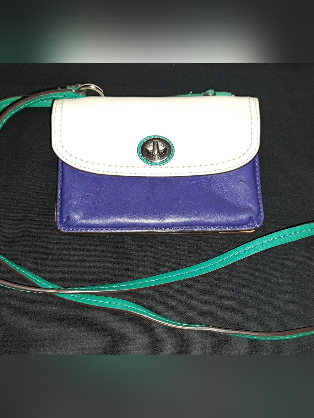 Coach Park Dylan Colorblock Crossbody Wallet
